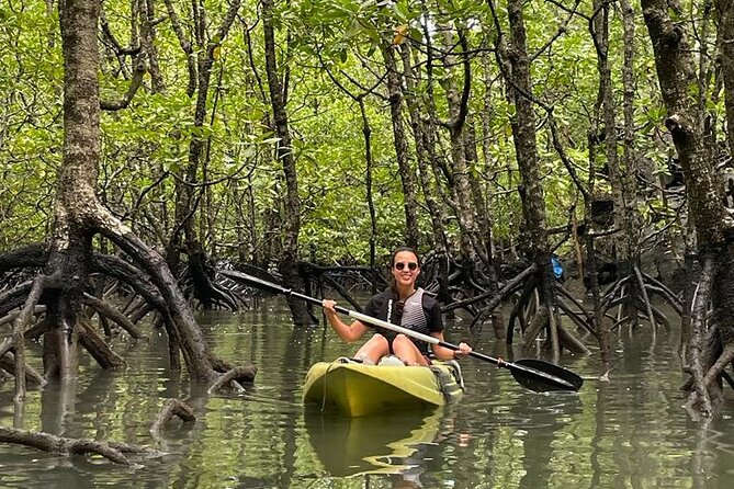 Half-Day Geopark Mangrove Kayaking Adventure - What the $67.68 price really covers