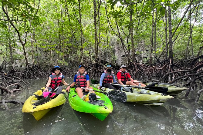 Half-Day Mangrove Kayaking in Langkawi - From the main river into the mangrove channels