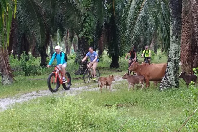 Half-Day Penang Countryside Cycling Tour - Leaving George Town before breakfast