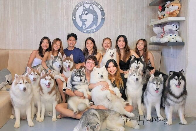 Huskitory Connecting People and Dogs - Why The Huskitory Works So Well for Dog Lovers