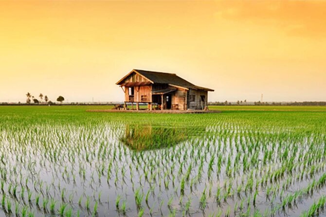 Instagrammable Kuala Selangor Sky Mirror Tour with Transfer - The boat ride and two hours at the Sky Mirror