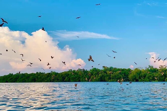 Instagrammable Kuala Selangor Sky Mirror Tour with Transfer - Sekinchan and the rice fields