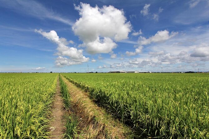 Instagrammable Kuala Selangor Sky Mirror Tour with Transfer - Does the $90 price offer fair value?