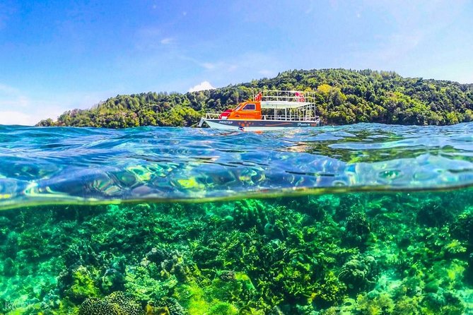 Island Hopping Tour (2 Island) From Kota Kinabalu - Snorkeling conditions and what you may see