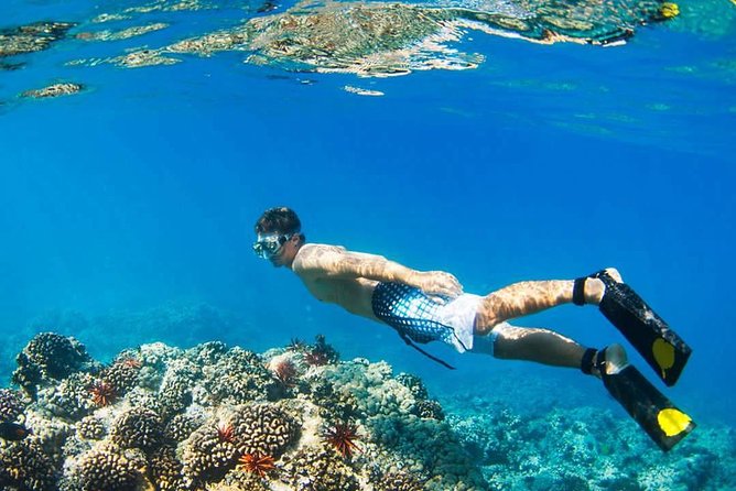 Island Hopping Tour (2 Island) From Kota Kinabalu - Who should book this island tour