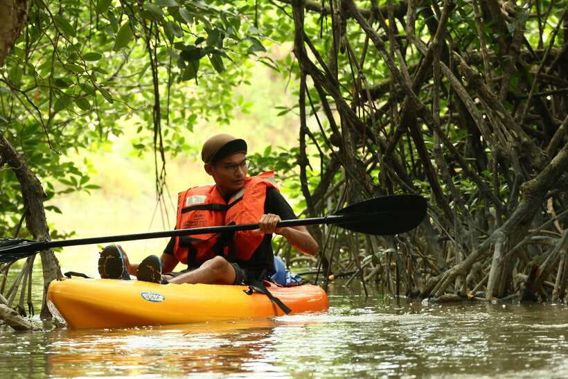 Johor: Sungai Lebam Kayaking with Transfer - The 15-minute transfer from Desaru Coast