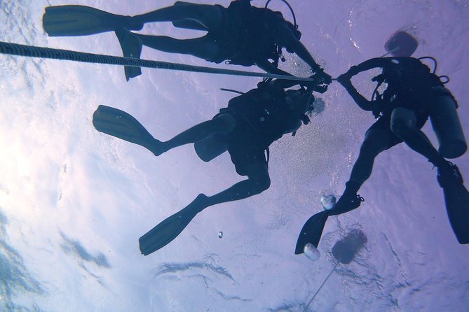 Join us for a RAID Try Dive in Kota Kinabalu - What the $110 price really includes