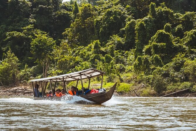 Jungle Odyssey: Unleash Your Adventure in Taman Negara! - A 130-million-year-old rainforest in one long day