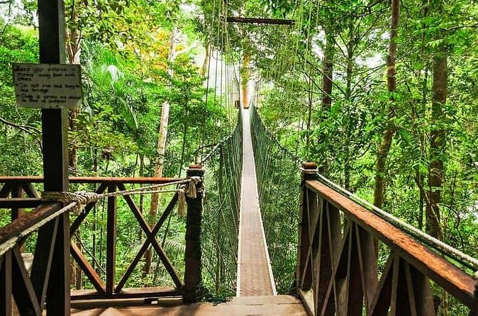 Jungle Odyssey: Unleash Your Adventure in Taman Negara! - Is $169.66 a fair price?