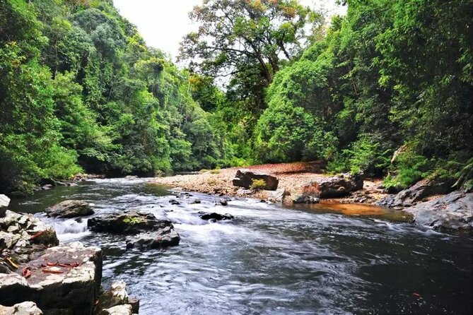 Jungle Odyssey: Unleash Your Adventure in Taman Negara! - What to bring and what to confirm