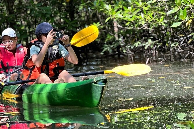 Kayaking Kilim Mangrove Geoforest - Kayaking through the mangrove channels
