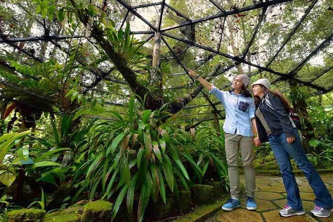 Kinabalu National Park Tour - Key points at a glance