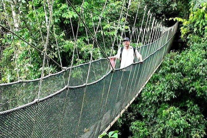 Kinabalu National Park Tour - Desa Dairy Farm: cool air, cows, and a busy hour