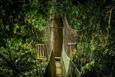 Kinabalu National Park Tour