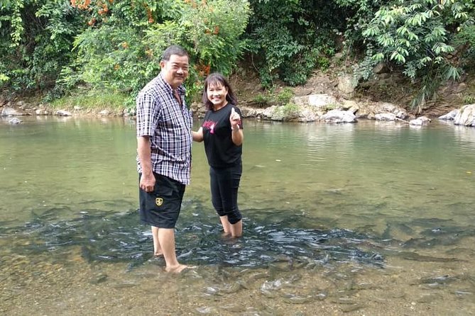 Kinabalu Park Day Trip - Key points at a glance