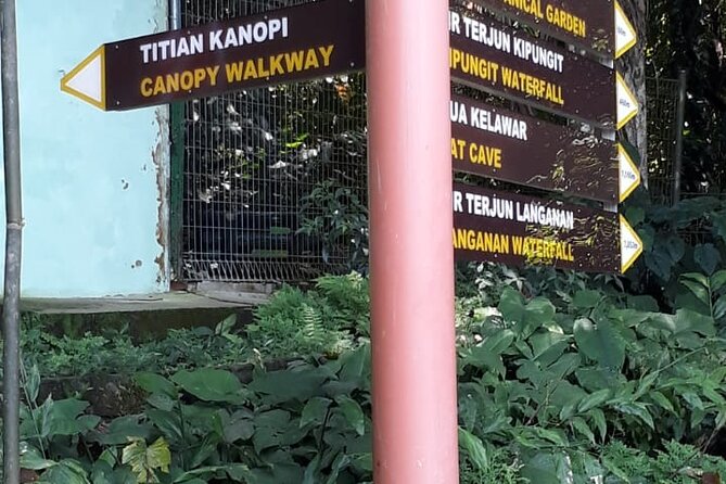 Kinabalu Park Day Trip - Kinabalu Park is the main included attraction