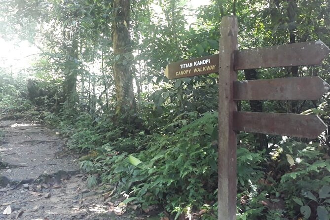 Kinabalu Park Day Trip - Lunch is practical, but check what the package covers