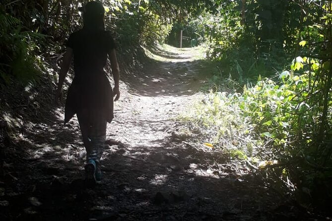 Kinabalu Park Day Trip - The guide can make or break the experience