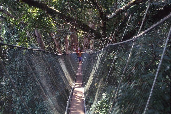 Kinabalu Park & Poring Hot Spring Tour - Poring Hot Spring around midday