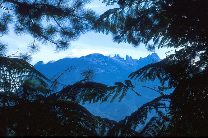 Kinabalu Park & Poring Hot Spring Tour - The canopy walk and the day’s main bit of activity