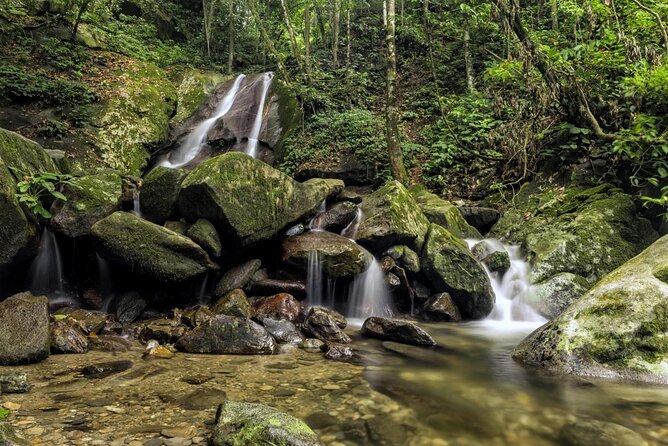 Kinabalu Park & Poring Hot Springs Tour with Desa Dairy Farm - The day at a glance