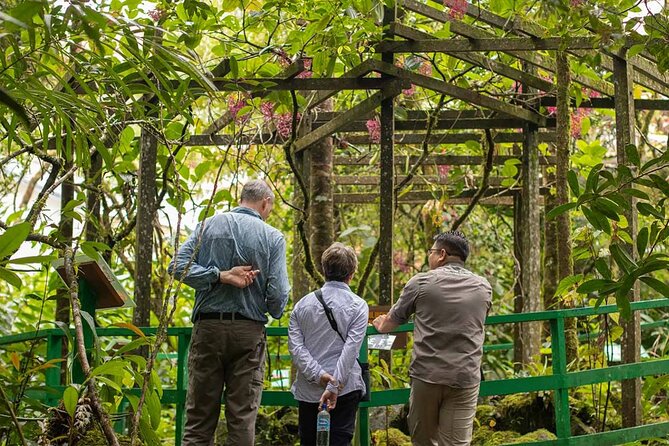 Kinabalu Park & Poring Hot Springs Tour with Desa Dairy Farm - Desa Dairy Farm, Sabah’s cool-country stop