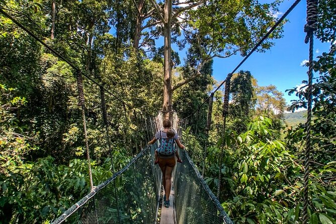 Kinabalu Park & Poring Hot Springs Tour with Desa Dairy Farm - Kinabalu Park and the mountain view