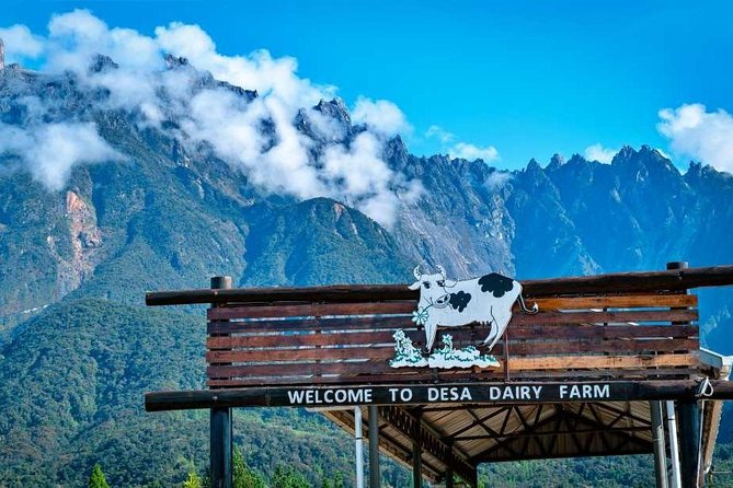 Kinabalu Park With Rumah Terbalik & Desa Cow Farm - Key points to know before booking
