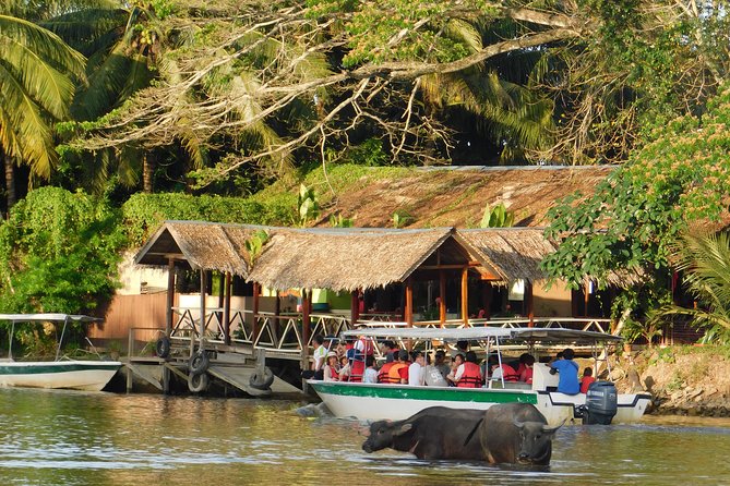 Klias Wildlife Safari River Cruise - Proboscis Monkey & Fireflies - Leaving Kota Kinabalu for the Klias Peninsula