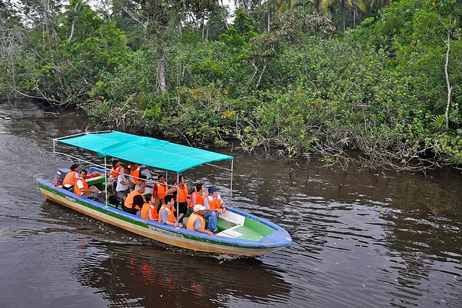 Klias Wildlife Safari River Cruise - Proboscis Monkey & Fireflies - What the $81 price really covers