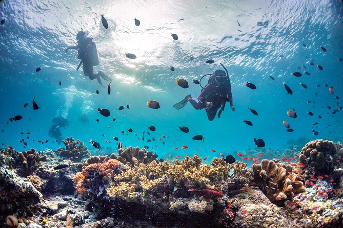 Kota Kinabalu Leisure Scuba Diving Trip (3 Dives) - Three underwater sessions at three different sites