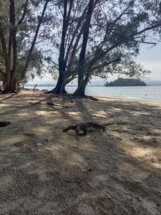 Kota Kinabalu: Manukan & Sapi Islands Snorkeling with Lunch - The 30-minute boat ride to Manukan