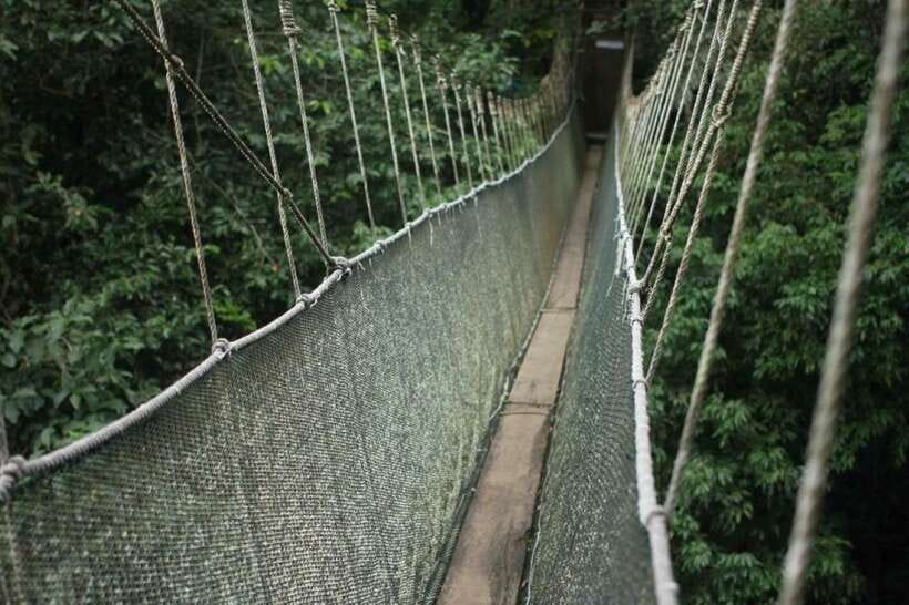 Kota Kinabalu: Private Kundasang and Poring Hot Spring Tour - The real shape of this Kundasang day trip