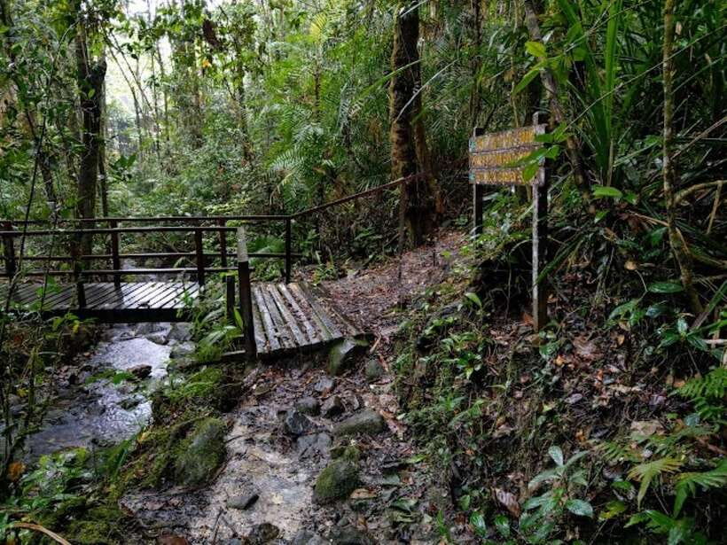 Kota Kinabalu: Private Kundasang and Poring Hot Spring Tour - Who should book this tour?
