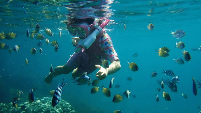 Kota Kinabalu : Snorkeling at Ara Dinawan Private Island - How the schedule affects families and independent beach lovers