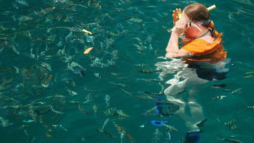 Kota Kinabalu: Snorkeling & Island Hopping Sapi & Manukan - The short boat ride to Manukan