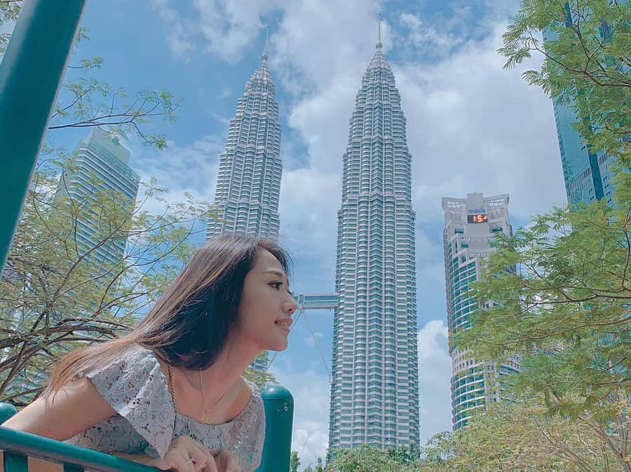 Kuala Lumpur: 4-Hour Tour & KL Towers Visit [Private] - Key points to know before booking