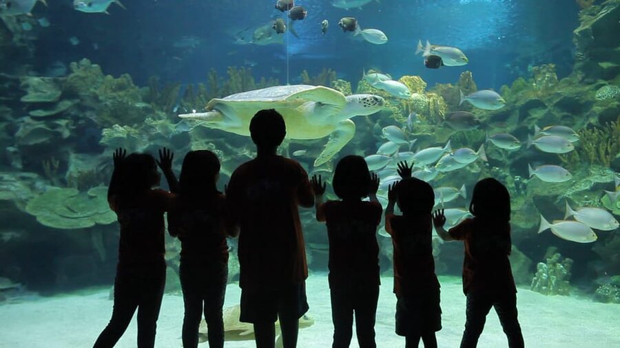 Kuala Lumpur: Aquaria KLCC Entry Ticket - What the experience does not include
