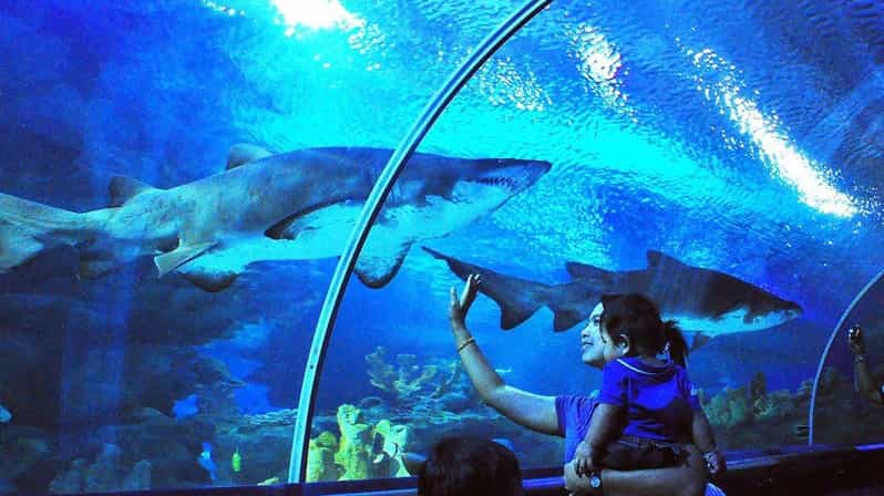 Kuala Lumpur: Aquaria KLCC Entry Ticket - Why Aquaria KLCC works well in central Kuala Lumpur