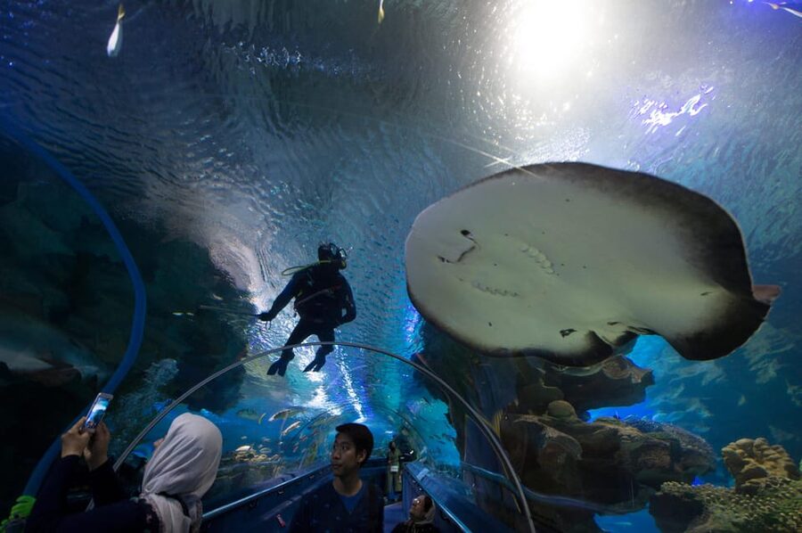 Kuala Lumpur: Aquaria KLCC Entry Ticket - Planning around Malaysia’s 2026 holidays