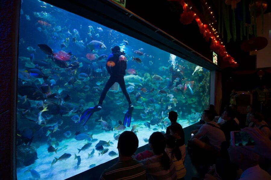 Kuala Lumpur: Aquaria KLCC Entry Ticket - Is the $14 ticket good value?