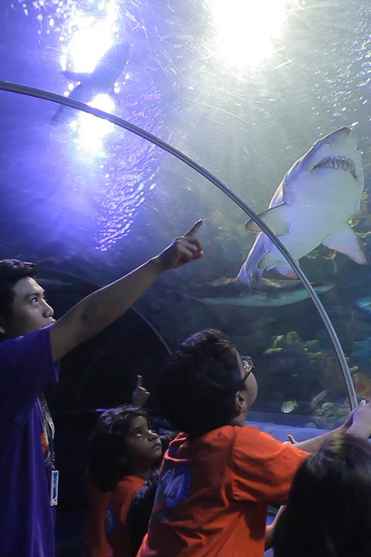 Kuala Lumpur: Aquaria KLCC Entry Ticket - From the first tanks to the underwater tunnel