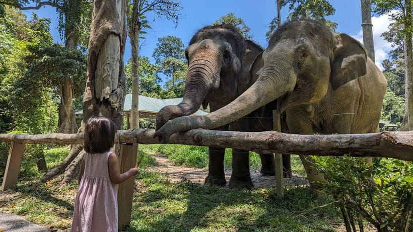 Kuala Lumpur: Batu Caves & Kuala Gandah Elephant Sanctuary - Temple Cave Dress Rules and the Optional Dark Cave
