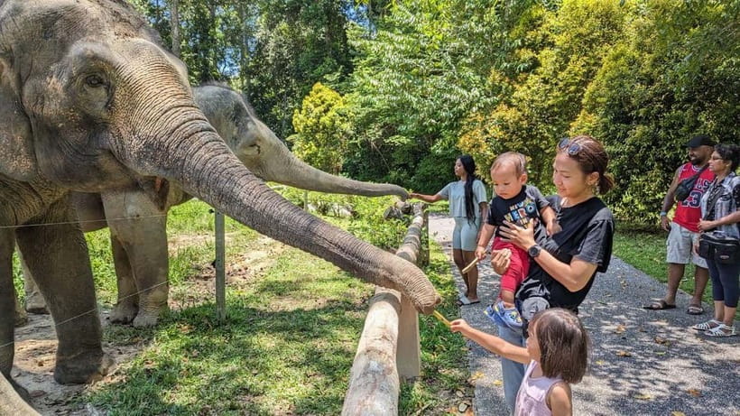 Kuala Lumpur: Batu Caves & Kuala Gandah Elephant Sanctuary - Deerland Park Lanchang Adds a Short Wildlife Stop