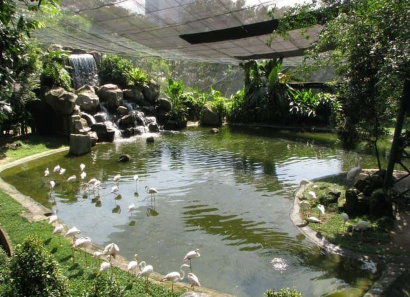 Kuala Lumpur: Bird Park, Butterfly & Garden Private Tour - Key points to know before booking