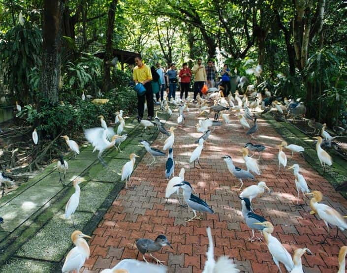 Kuala Lumpur: Bird Park, Butterfly & Garden Private Tour - A four-hour green break from central Kuala Lumpur