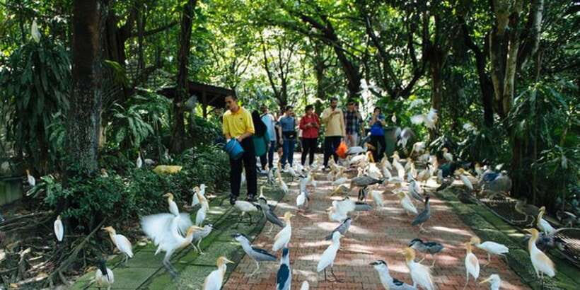 Kuala Lumpur: Bird Park, Butterfly & Garden Private Tour - Orchids and hibiscus add color and local meaning