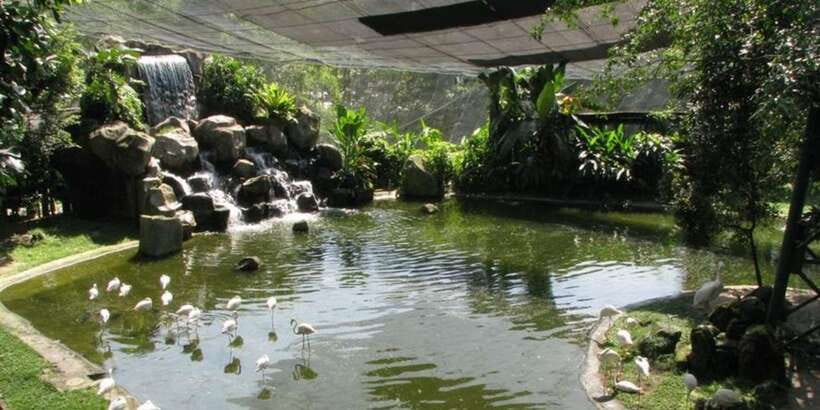 Kuala Lumpur: Bird Park, Butterfly & Garden Private Tour - How good is the value at $79 per person?
