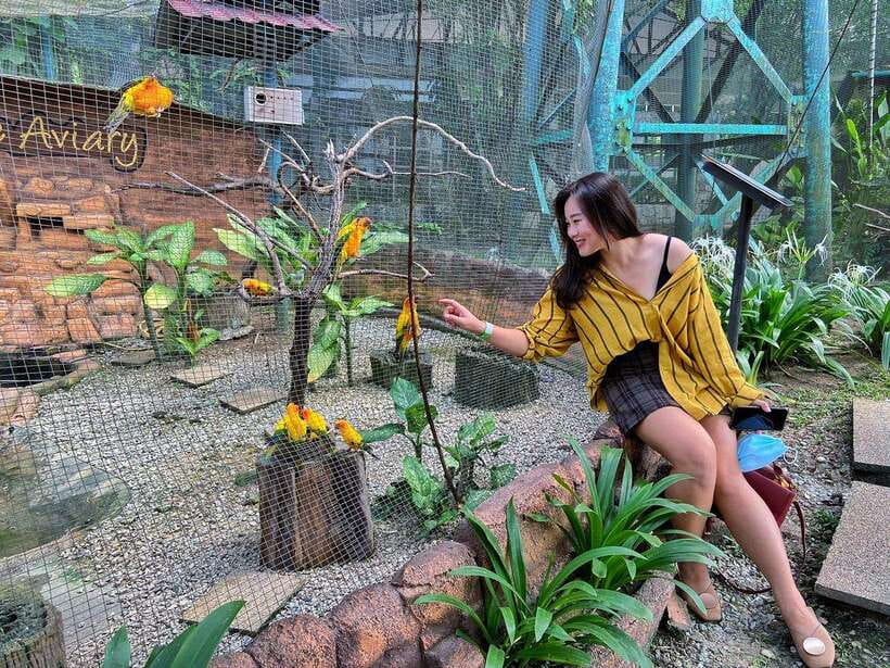 Kuala Lumpur: Bird Park Day Ticket & 1-Way Transfer - What the one-way transfer really adds