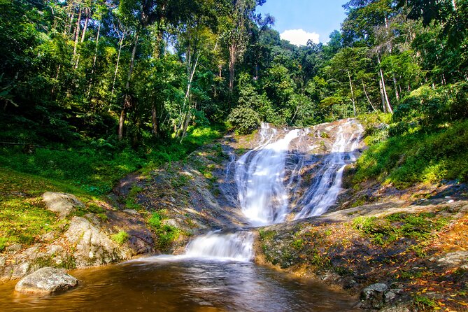 Kuala Lumpur: Cameron Highlands & Batu Caves Private Day Tour - Brinchang and the Orang Asli visit